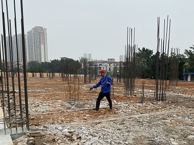 厚街白蚁备案站地基防白蚁该怎么做才靠谱