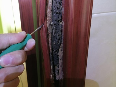 大岭山防治白蚁机构灭白蚁是怎么收费的？
