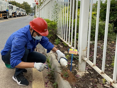茶山红火蚁防控公司简单有效的红火蚁防治方法
