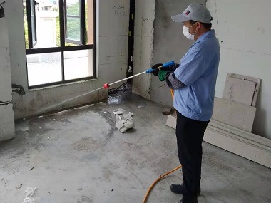 长安白蚁预防站装修时防治白蚁的实用建议